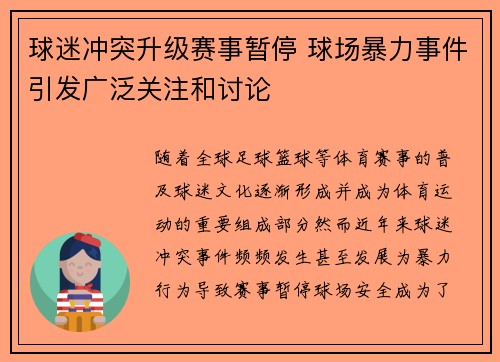 球迷冲突升级赛事暂停 球场暴力事件引发广泛关注和讨论