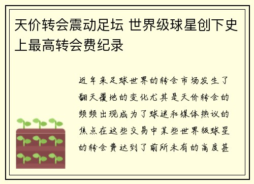 天价转会震动足坛 世界级球星创下史上最高转会费纪录 天价转会震动足坛 世界级球星创下史上最高转会费纪录